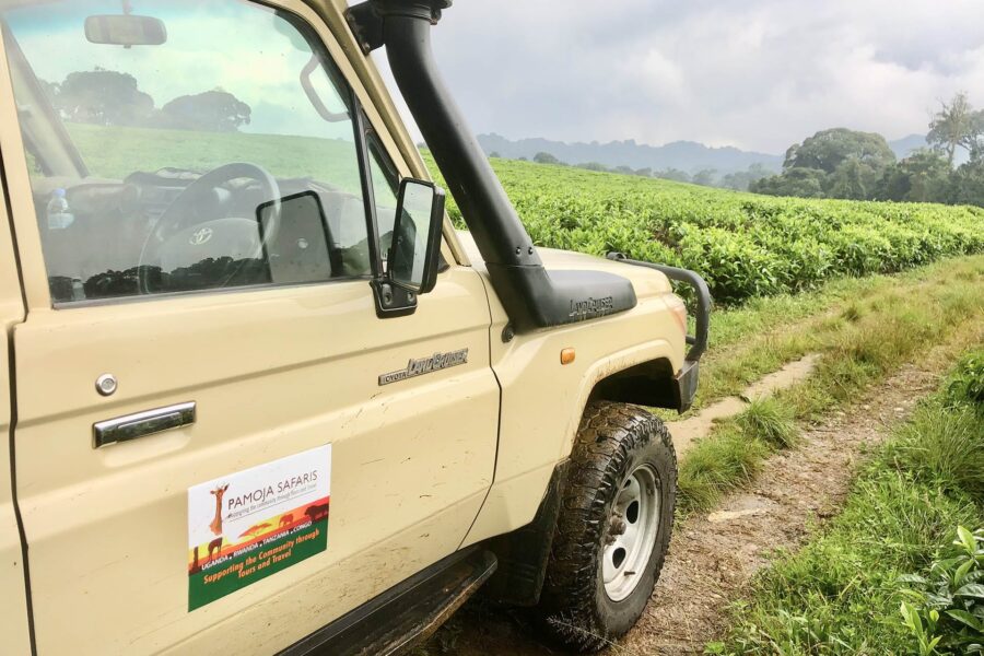 4Wheel- Drive: Open-Sided Game Drive Vehicles in Murchison Falls National Park: