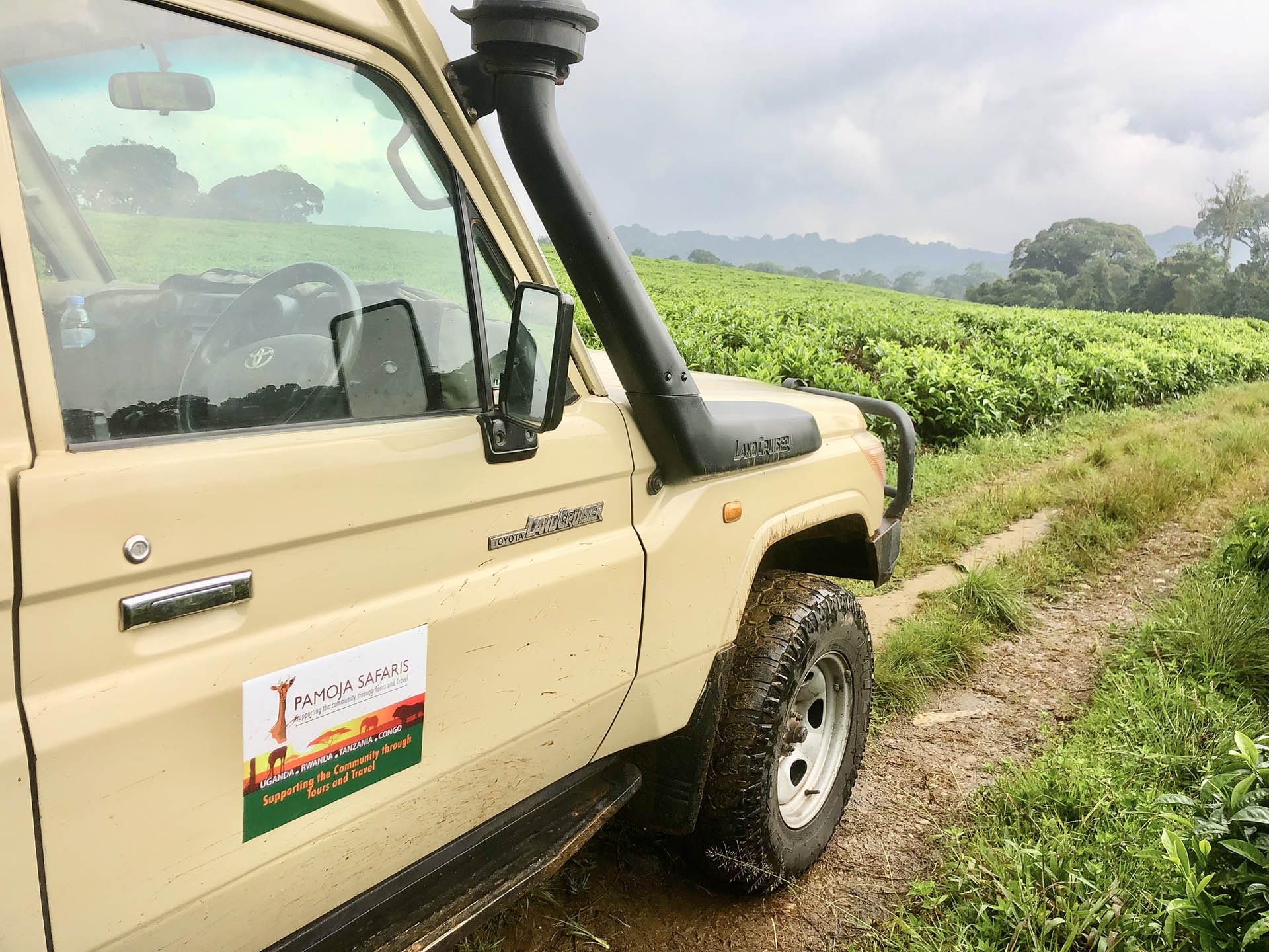 4Wheel- Drive: Open-Sided Game Drive Vehicles in Murchison Falls National Park: