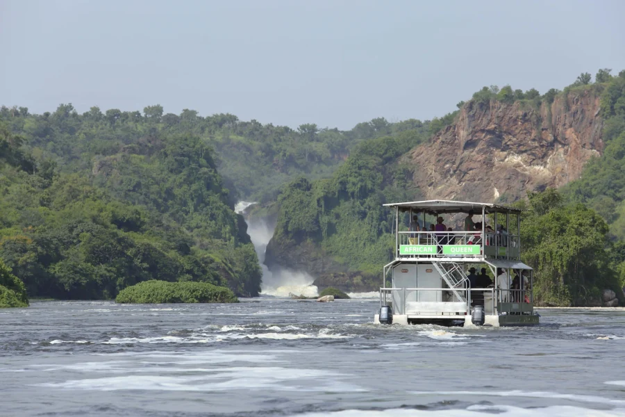 Waterfall Boat Cruise to the Base of Murchison Falls: No visit to Murchison Falls is complete without the iconic boat cruise to the base of the falls. This leisurely cruise up the Nile reveals stunning scenery and abundant wildlife,