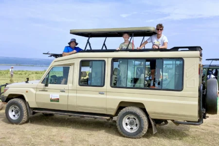 Why Choose Murchison Falls Safari Tours for Your Next Trip?
