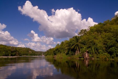 Trips - Planning the Best Unforgettable Trip to Murchison Falls National Park-Uganda
