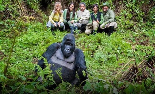 5 Days Uganda Gorilla & Wildlife Adventure