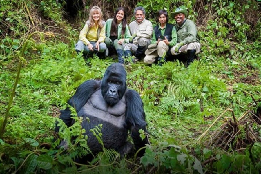 5 Days Uganda Gorilla & Wildlife Adventure