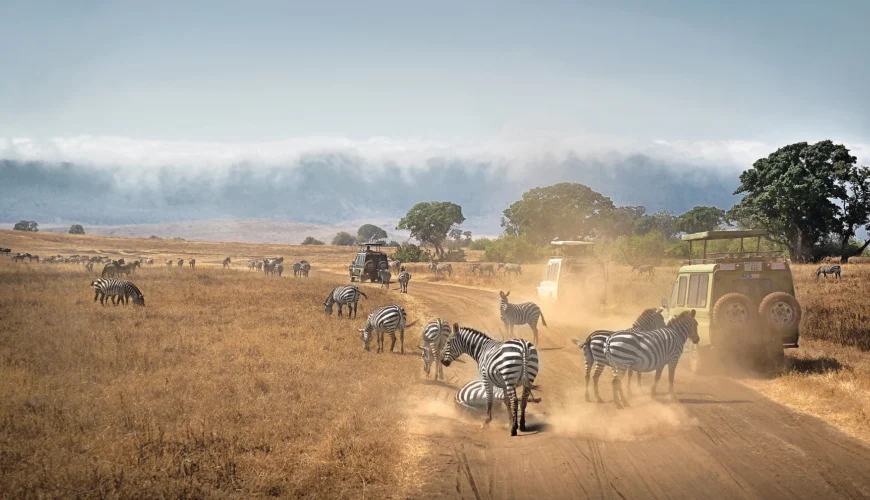 Ngorongoro. Tanzania.: Dry Season vs Wet Season: When to Visit East Africa for a Safari