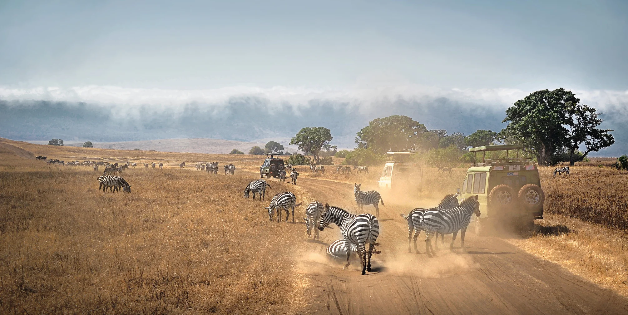 Ngorongoro. Tanzania.: Dry Season vs Wet Season: When to Visit East Africa for a Safari