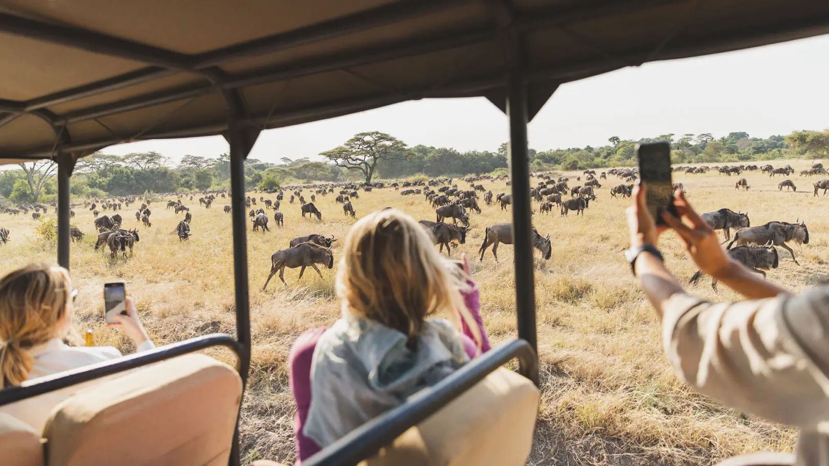 African Safari Trips