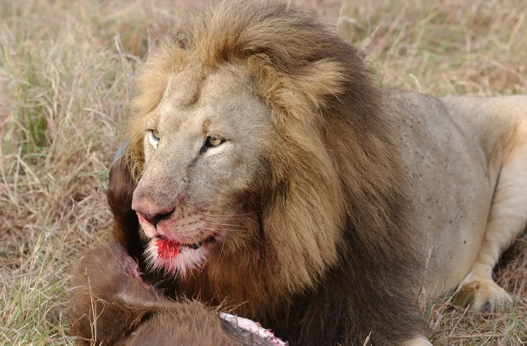 Kenya