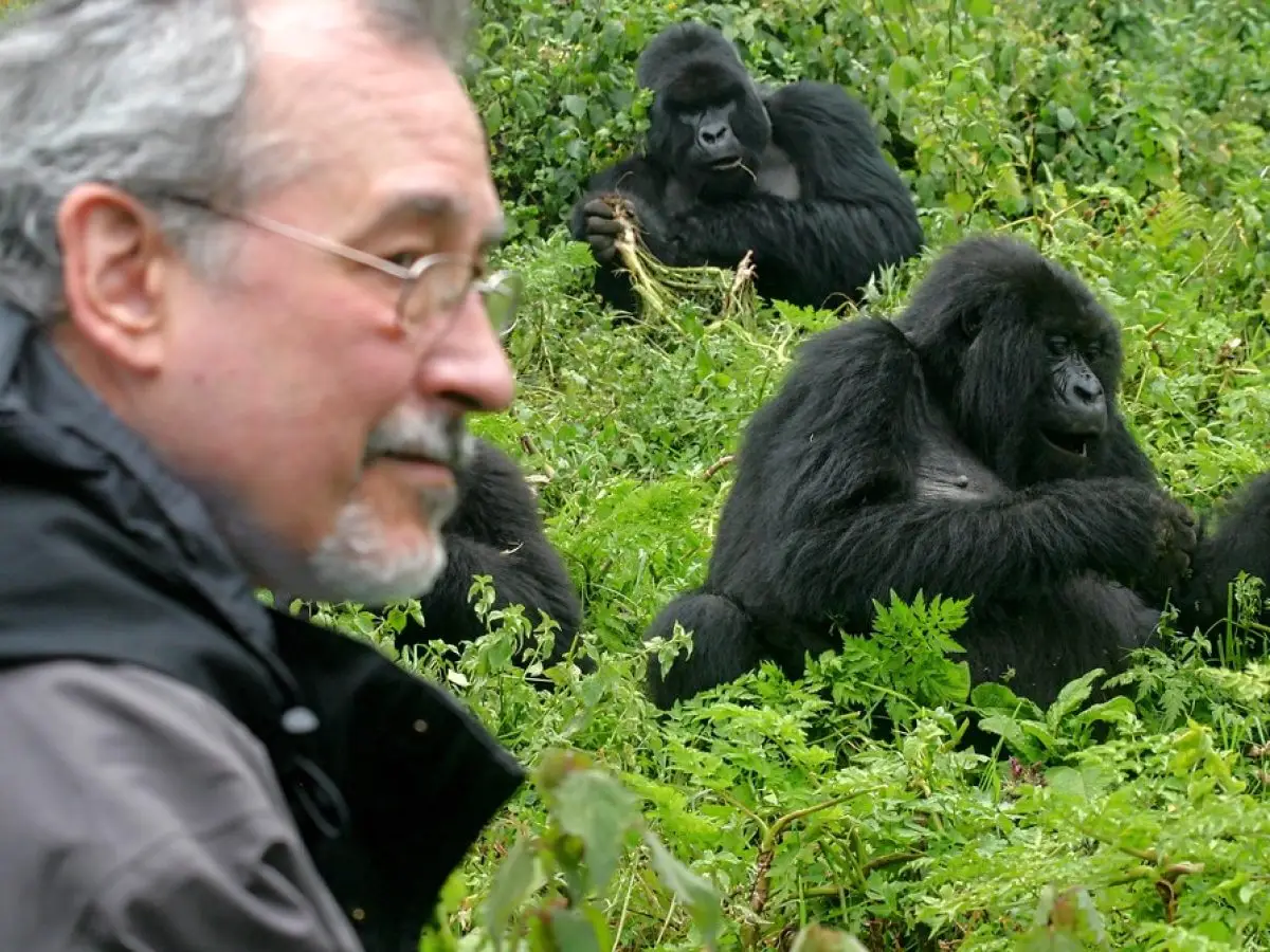3 Day Uganda Gorilla Trekking