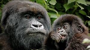 Rwanda