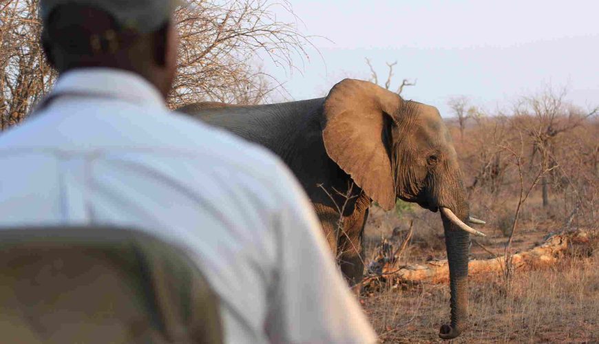 Zambia Travel Guide
