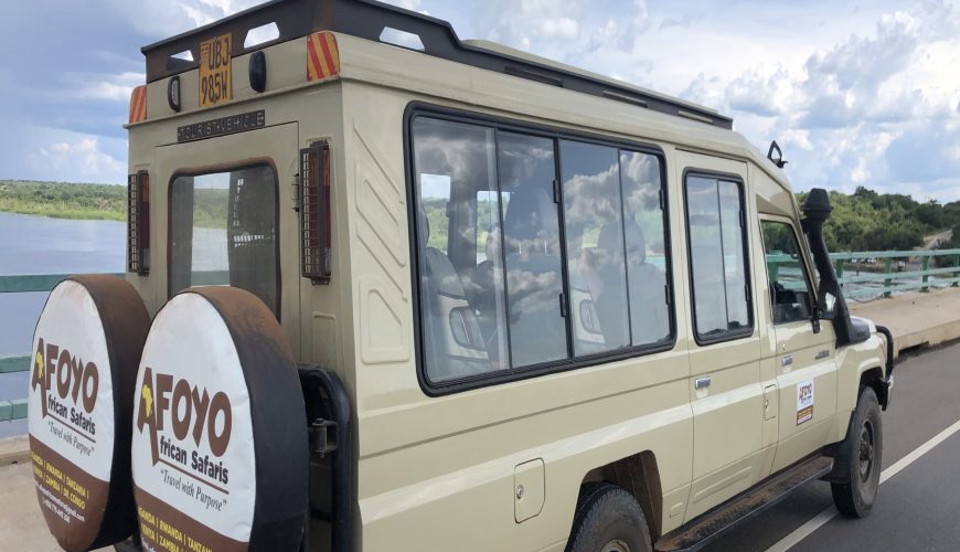 How to Plan a Safari Trip to Africa