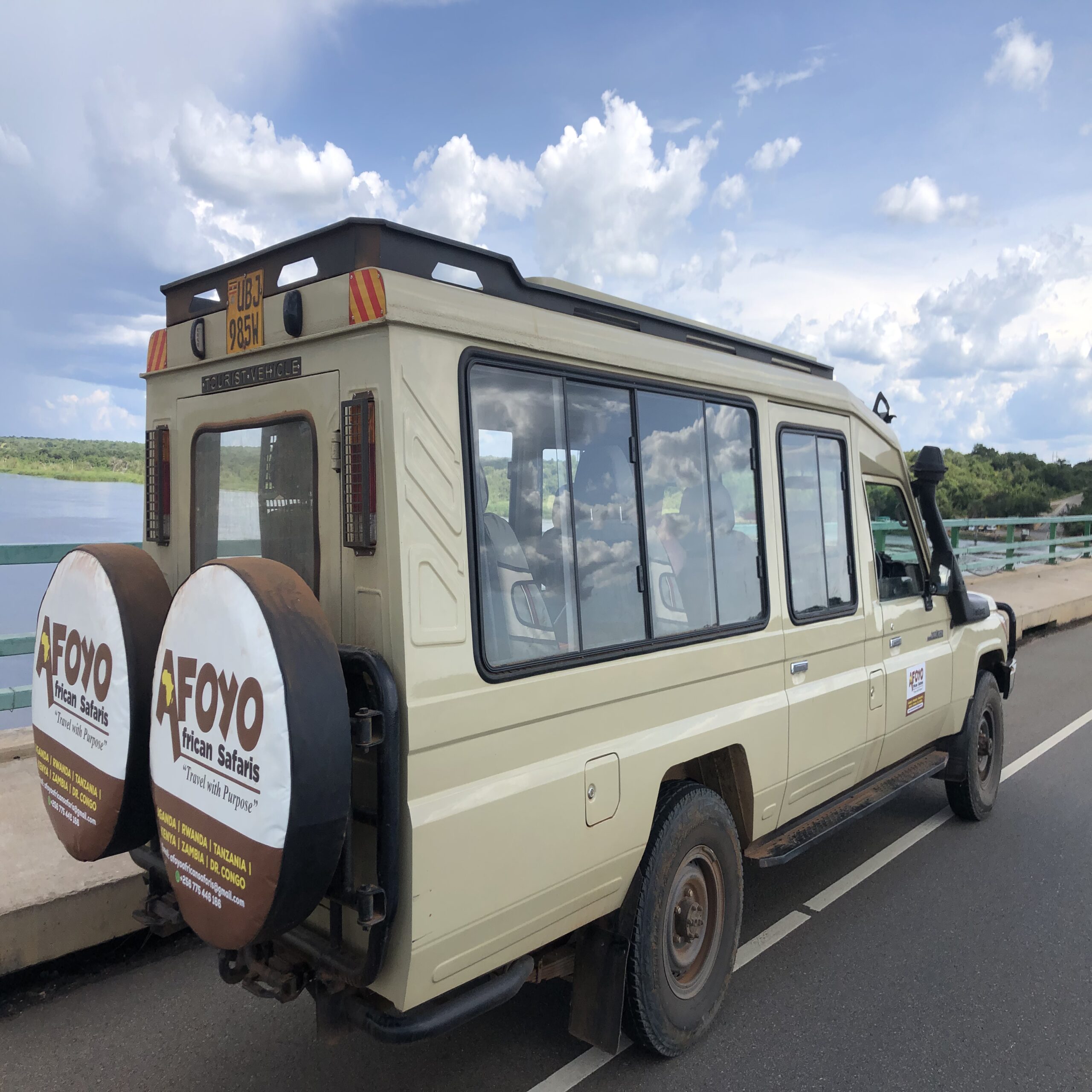 How to Plan a Safari Trip to Africa