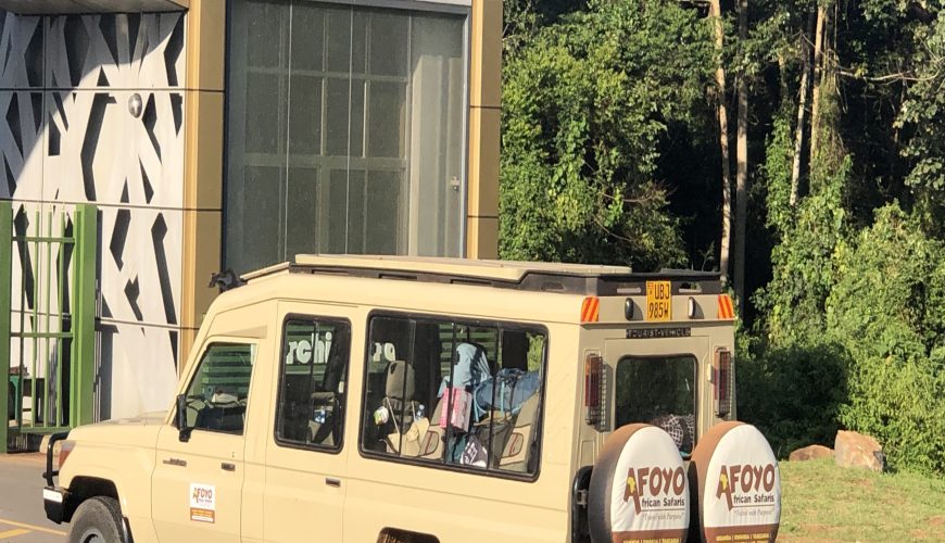 10 Best Tailor-Made Safari Companies in Uganda