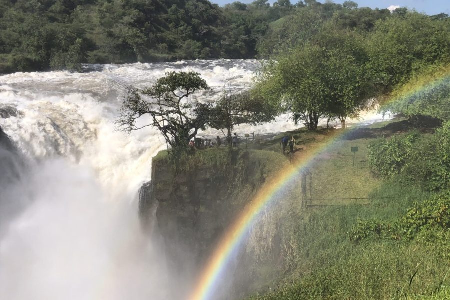 3 Days Murchison Falls Big-5 Wildlife Safari