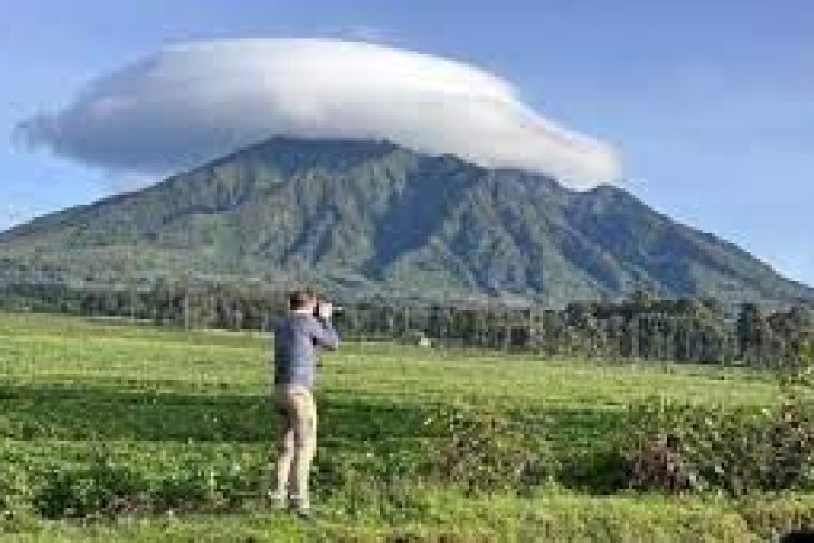 4-Day Rwanda Primate Tour